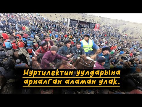 Видео: Жалал-Абад/ Сузак/ Нуртилектин уулдарына арналган аламан улак.