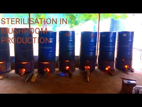 Видео: Метод стерилизации грибов паром, дешевый и простой