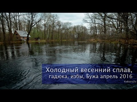 Видео: Холодный сплав. Бужа, забытая на острове кошка, избы и озера. КукуруЗо.