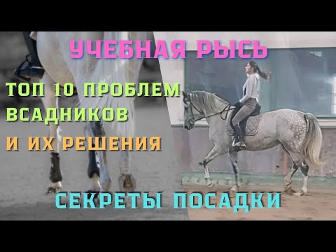 Видео: УЧЕБНАЯ РЫСЬ, 10 ПРОБЛЕМ ВСАДНИКОВ и их РЕШЕНИЯ