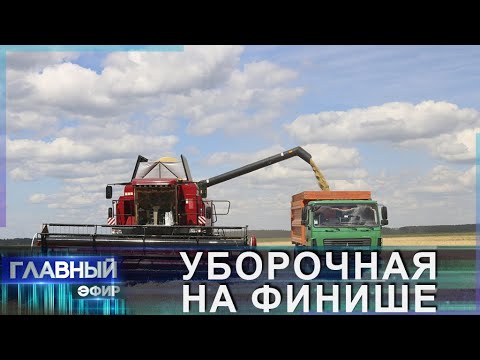 Видео: Уборочная: как проходят трудовые будни в полях? Главный эфир