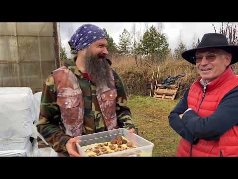 Видео: Как правильно выращивать орехи Часть 2