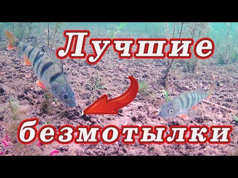 Видео: Безмотылка для Начинающих! Лучшие мои Безмотылки!