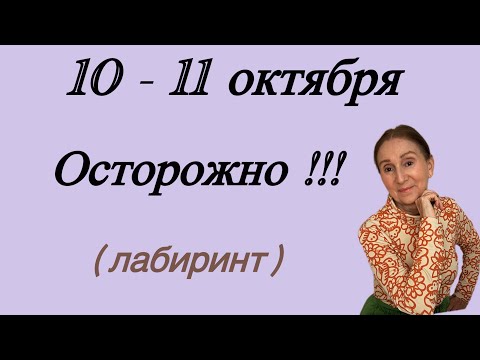 Видео: 🔴 10 - 11 октября 🔴 Осторожно!!!… лабиринт… Розанна Княжанская