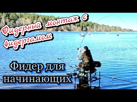 Видео: Фидер для начинающих. Начало фидерного сезона 2023.