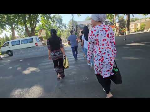 Видео: Чирчике по всем местам