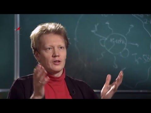 Видео: Птицы поют на рассвете Солнца // Лекция Сергея Попова