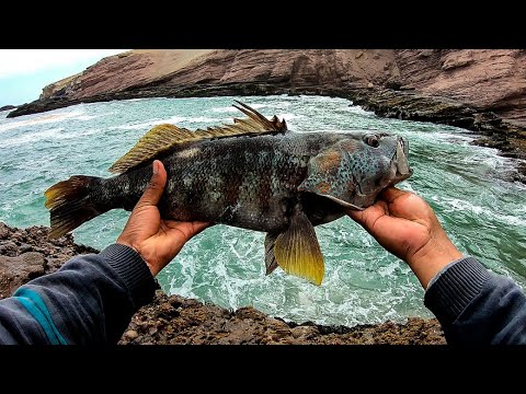 Видео: РЫБАЛКА козы с мягкими приманками || Роковая рыбалка, с винила.