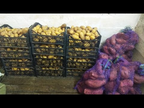 Видео: Домашние дела