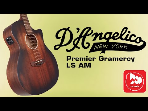 Видео: Электроакустическая гитара D'Angelico Premier Gramercy - обзор от Регины