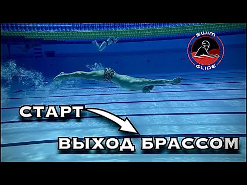 Видео: Старт плюс выход брасс | Разбор ошибок