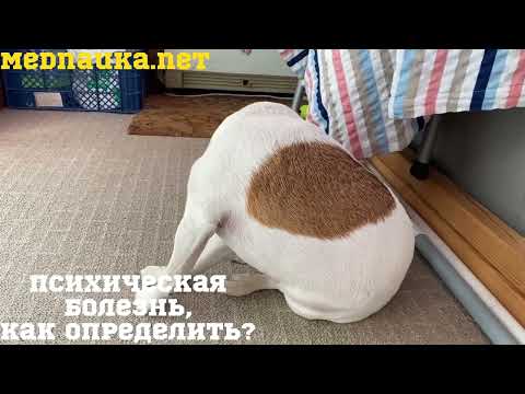 Видео: Психическая болезнь, как определить?