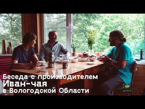 Видео: Беседа с производителем Иван-чая в Вологодской Области
