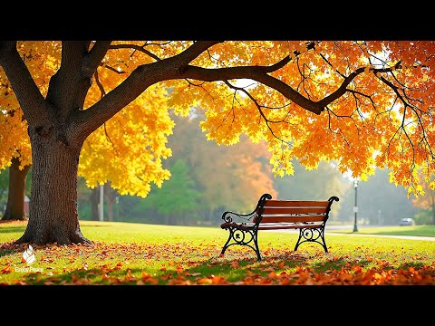 Видео: Красивая расслабляющая музыка 🍁 Хватит думать, музыка для снятия стресса с осенней мелодией № 4
