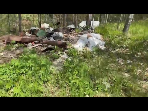 Видео: Огромная свалка в деревне! цены на металл! #копметаллолома #металлокоп