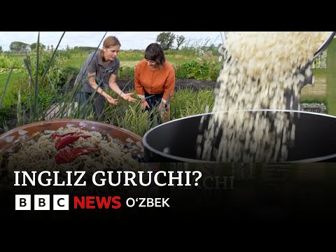 Видео: Инглиз гуручидан палов ё нега  Британияда шолипоялар пайдо бўлмоқда? BBC News O'zbek Dunyo