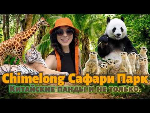 Видео: #chimelong Сафари Парк.Китайские панды и не только.Что делают модели вне работы #влог о жизни модели