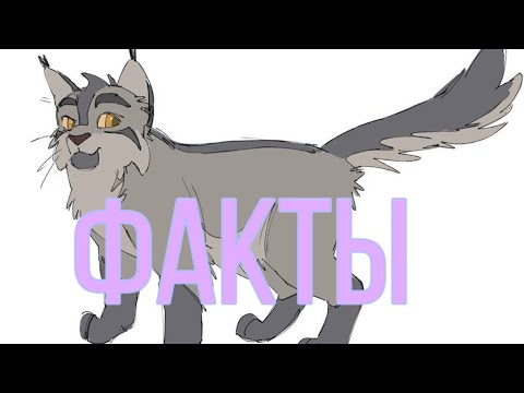 Видео: Факты о Крутобоке|«Коты-Воители»
