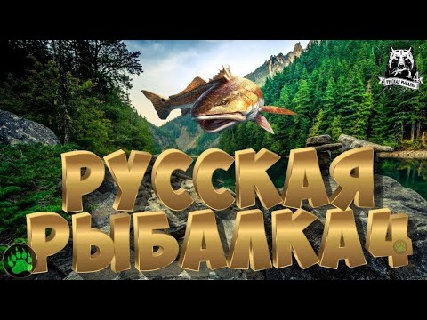 Видео: Ловля Карася в русской рыбалке 4 на озере Комариное дикий жор