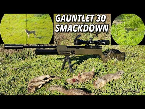 Видео: Пневматическое ружьё для охоты на белок и койотов. Перчатка 30-го калибра.