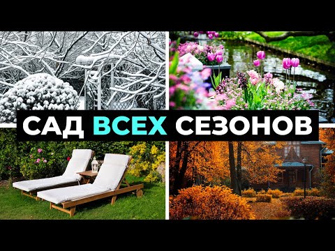 Видео: Как создать универсальный сад? 10 ПРАВИЛ сада на все сезоны!