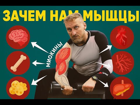 Видео: Силовые тренировки — таблетка от старения?