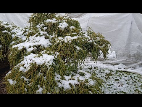 Видео: Вот и 1 мая😂😭