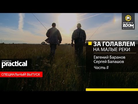 Видео: За голавлем на малые реки. Часть 2. Anglers Practical. Специальный выпуск. Anglers Practical