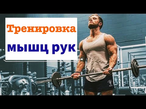 Видео: Как накачать ОГРОМНЫЕ мышцы рук? | Джефф Ниппард