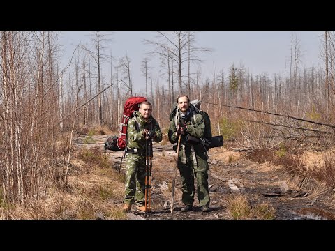 Видео: 75 ЛЕТ НАЗАД в этой глуши ездил ЛЫСКОВСКИЙ МОНОРЕЛЬС. Нижегородские леса. Урочище ЯЛОКША