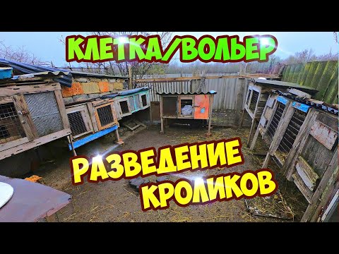 Видео: Разведение Кроликов !! КЛЕТКИ или ВОЛЬЕР!! Зимовка кроликов