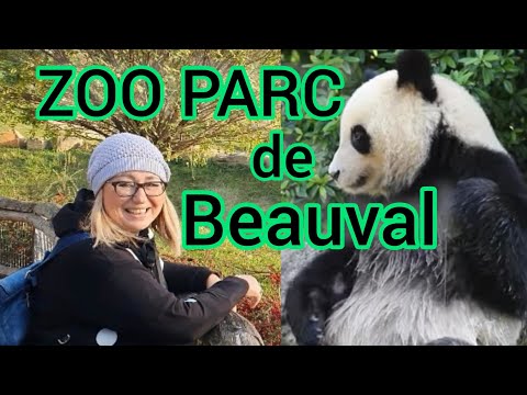 Видео: ВОСХИТИТЕЛЬНАЯ француженка! Зоопарк. Франция сегодня