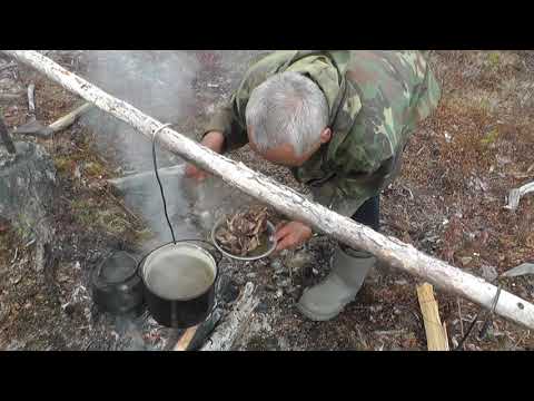Видео: Суп из уток (май 2021)