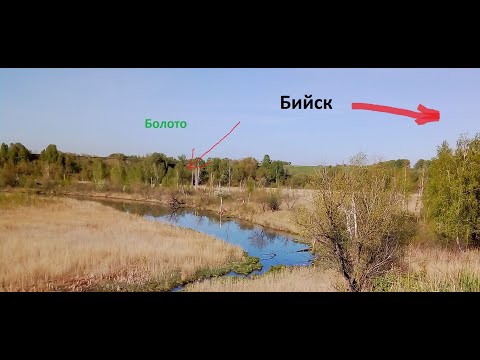 Видео: Ловля щуки на болотах не далеко от БИЙСКА . Рыбалка на спиннинг 2019.