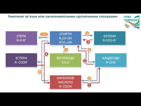 Видео: Генетичні зв'язки між класами оксигенвмісних органічних сполук. ХІМІЯ 10 клас