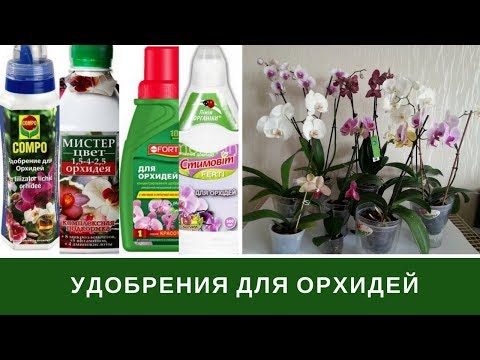 Видео: Подкормка Орхидей, Удобрение Орхидей, Витамины, Чесночная Вода и тп