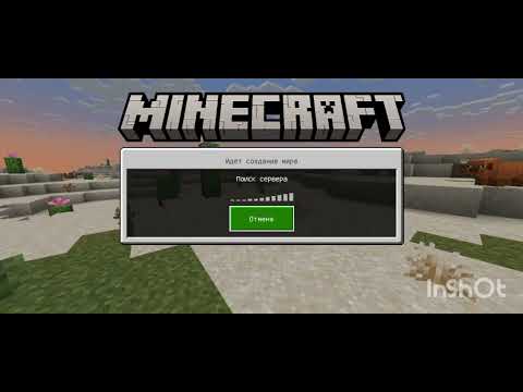 Видео: 30 октября 2025 г.