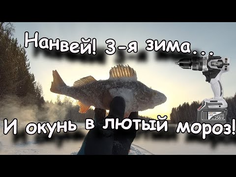 Видео: Нанвей 3-я зима.... И окунь в лютый мороз!