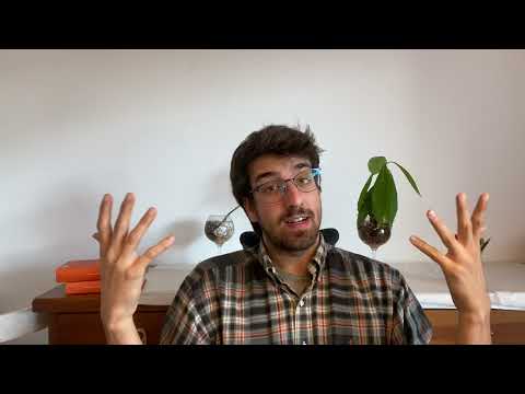 Видео: Считать до ста на каталанском языке. Сколько тебе лет?