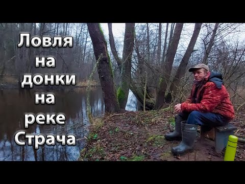 Видео: Осенняя рыбалка на закидушки. Рыбалка на донки на реке Страча. Ловля голавля на закидушки. Страча.