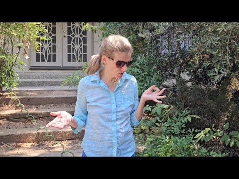 Видео: Птенчик пропал. Part 3.🐥 Пошёл 2й день. Лишь бы выжил!