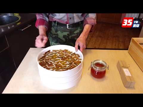 Видео: Рецепты из ревеня