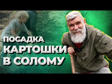 Видео: Ошибки соломенного земледелия//Живая Баня Иван Бояринцев