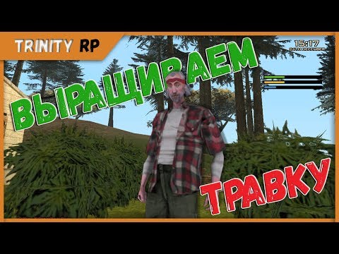 Видео: Выращиваем волшебную травку на Trinity RP