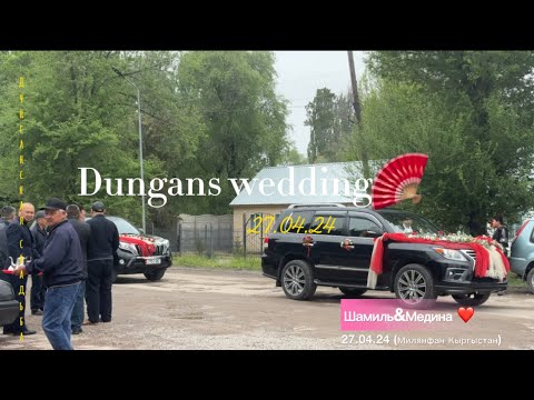 Видео: Дунганская свадьба🪭Шамиль&Медина🎎❤️ Милянфан /Кыргыстан🇰🇬
