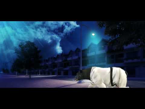 Видео: Страшилка WildCraft °~ Не смотри ночью в окно°~