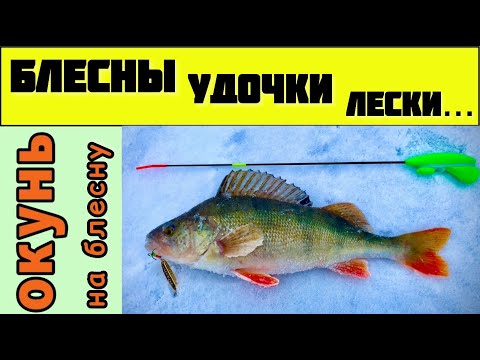 Видео: Зимние вертикальные блесны на окуня. Виды зимних блесен. Удочки, леска, оснастка