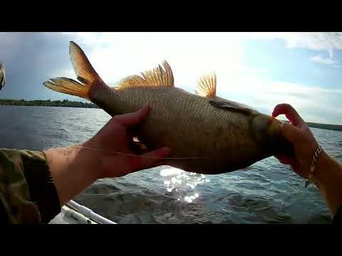 Видео: ПО ДВА ЗА РАЗ. ЛОВЛЯ ЛЕЩА С ЛОДКИ НА ДОНКИ.река ВОЛГА.