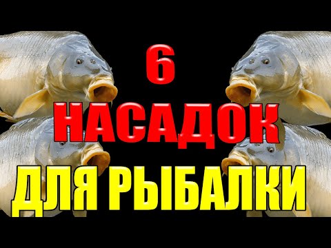 Видео: Ты ни когда не останешься без рыбы с этими 6 насадками для летней рыбалки #рыбалка