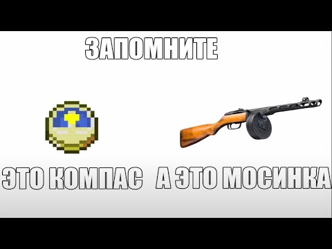 Видео: Испуганный Бэбэй смотрит фотожаберсы